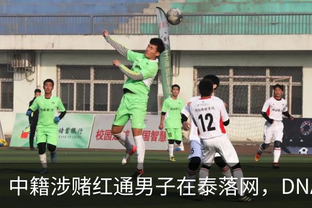 中籍涉赌红通男子在泰落网，DNA检测意外牵出新疑点