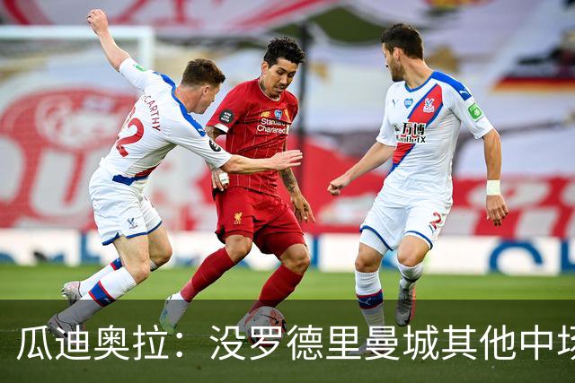 瓜迪奥拉：没罗德里曼城其他中场踢得也不错