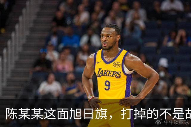 陈某某这面旭日旗，打掉的不是胡锡进的面子，是一层中邪论的滤镜